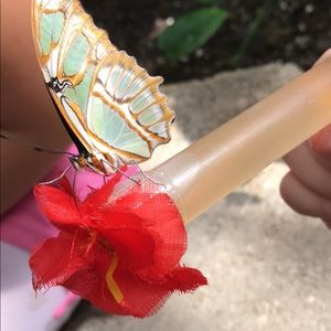 Meet your Posher, Janet